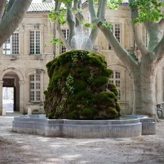 Cloître Saint-Louis, Avignon